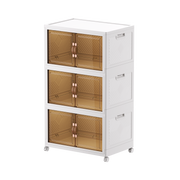 Armoire de rangement pliable avec porte transparente