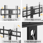 79 in TV Stand