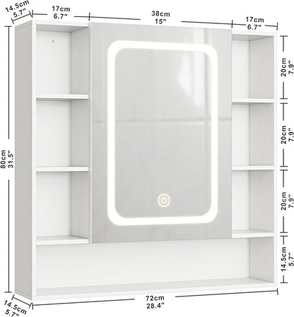IRONCK Medicine Cabinets Wall Mounted with LED Light Mirror