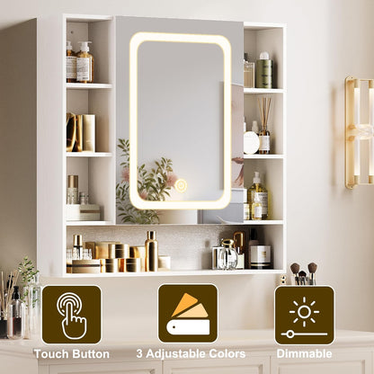 IRONCK Medicine Cabinets Wall Mounted with LED Light Mirror