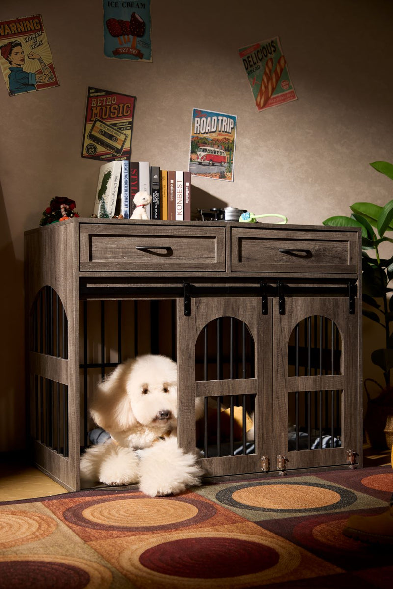 Pet Furniture Feature