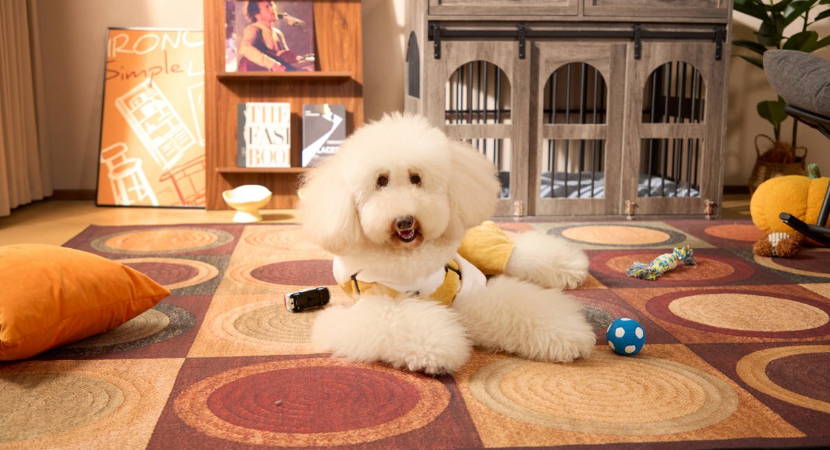 Pet Furniture